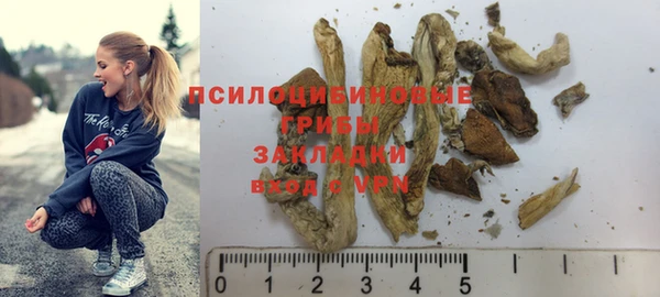 PSILOCYBIN Богородск